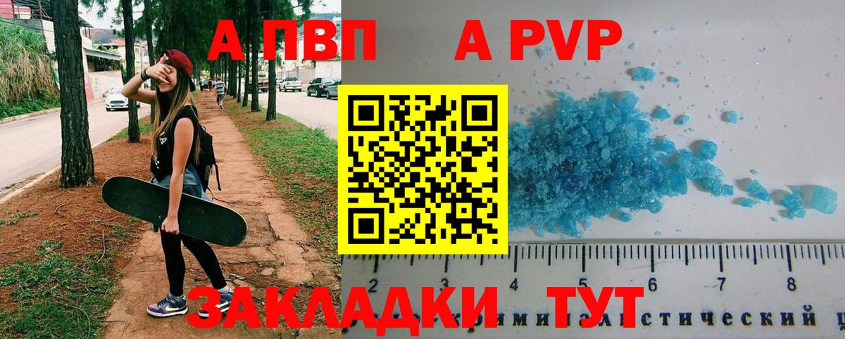 Альфа ПВП СК Нововоронеж