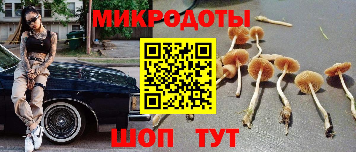 Псилоцибиновые грибы Cubensis  Галлюциногенные грибы Psilocybine cubensis  Вход с VPN  Нововоронеж 