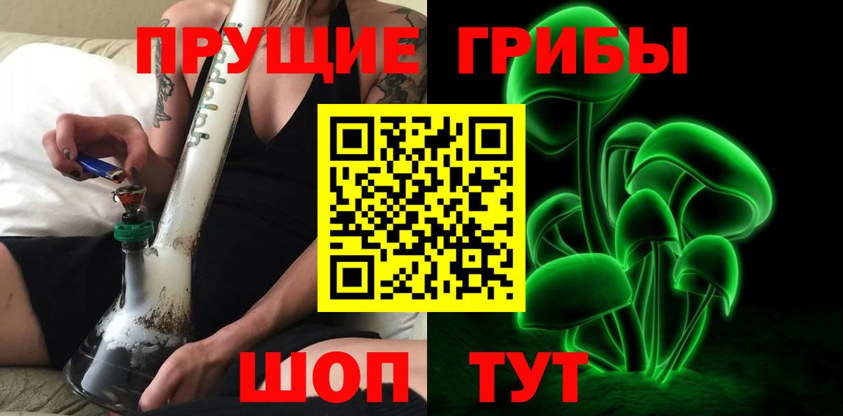 Псилоцибиновые грибы GOLDEN TEACHER Нововоронеж